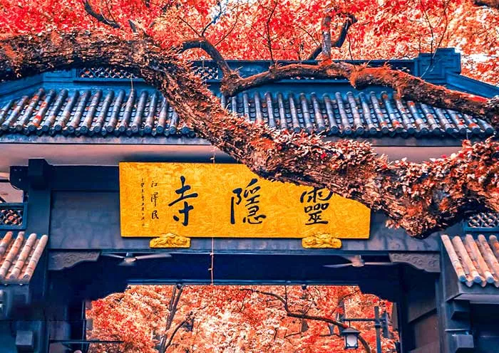 Ultimate Hangzhou Private Day Tour for Essence Highlights