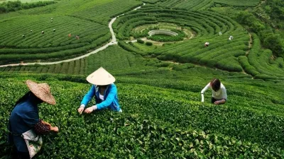 Hangzhou Bike & Cycling Day Tour