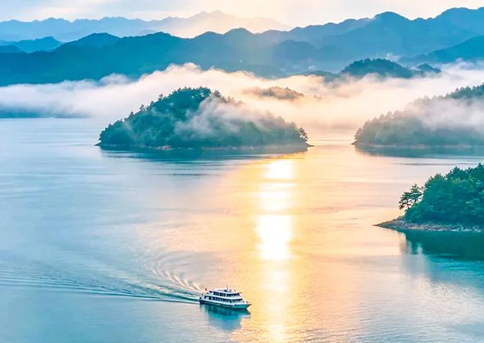 Unforgettable Hangzhou Night Tour: Tranquil Wetlands & Dream Town Delights