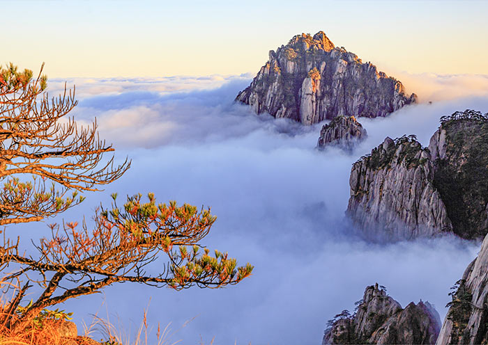 8 Days Eastern China Tours: Shanghai Suzhou Hangzhou Huangshan Tour Package