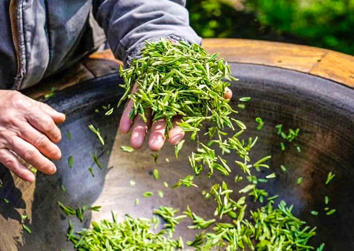 Hangzhou Dragon Well Tea Village & Longjing Tea Plantation Day Tour